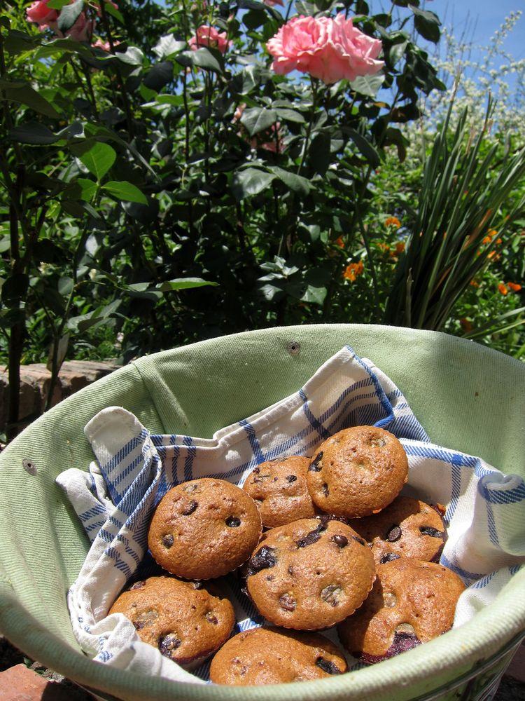 magdalenas-integrales-de-arandanos-y-chocolate-