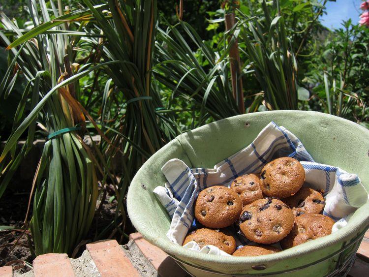 magdalenas-integrales-de-arandanos-y-chocolate-