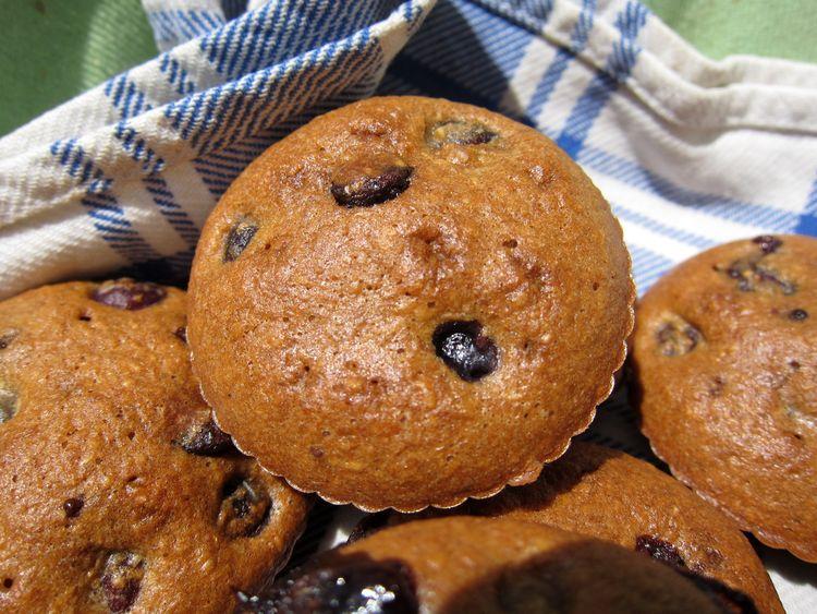 magdalenas-integrales-de-arandanos-y-chocolate-