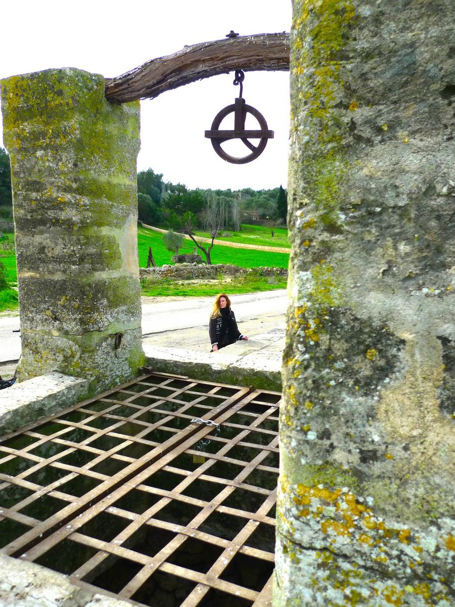 livelovepolly by paula casielles p