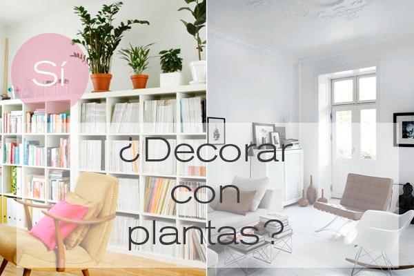 decorar_plantas_diariodeco11_blog_ana_pla_interiorismo_decoracion_0