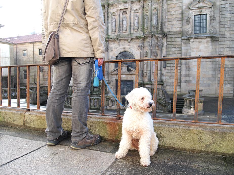 San Martín Pinario.