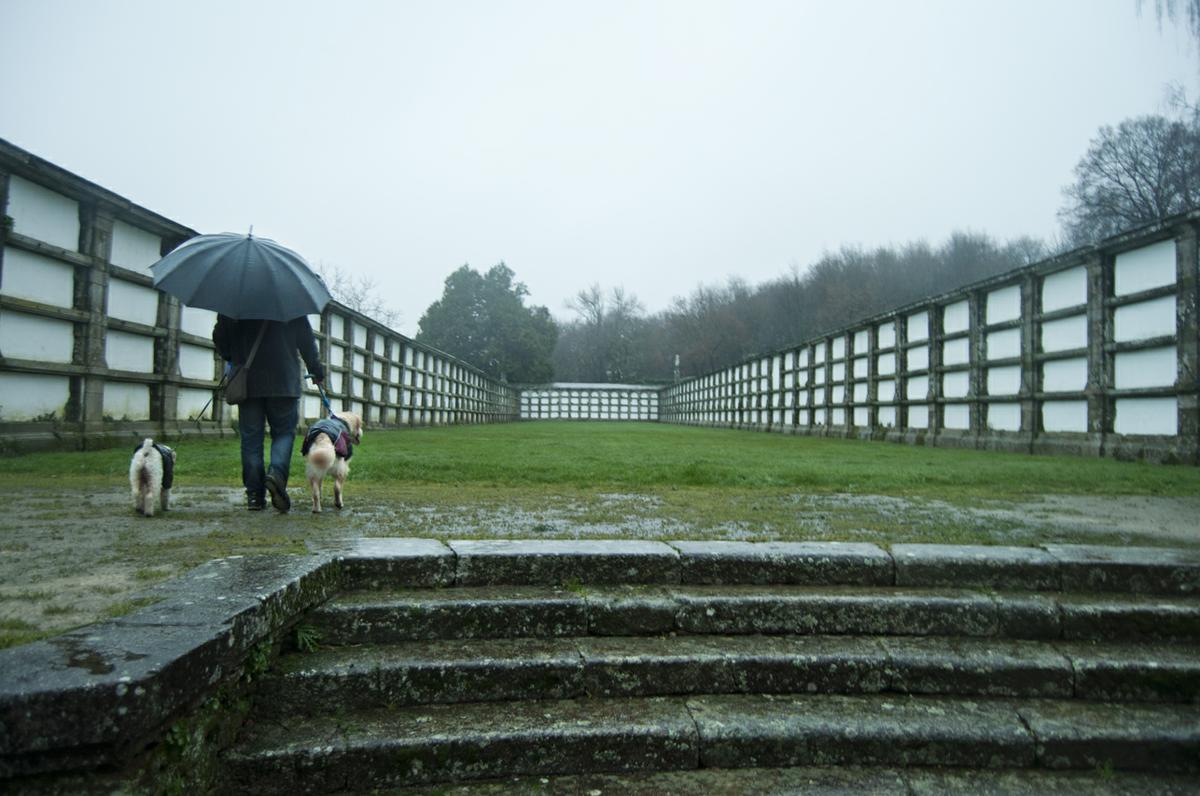 Cementerio de Bonaval