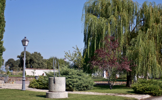 colores-de-boda-finca-alcudia-jardin-exterior