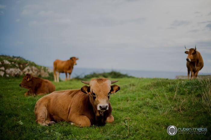 RUBEN-MEJIAS_FOTOGRAFO-DE-BODAS__POST-BODA-EN-ASTURIAS_TRASH-THE-DRESS_POST-BODA0040_FOTOGRAFIA-DE-POST-BODA_