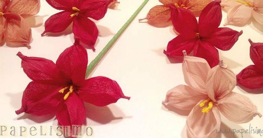 Díselo con flores: detalles especiales y hermosos con los ...