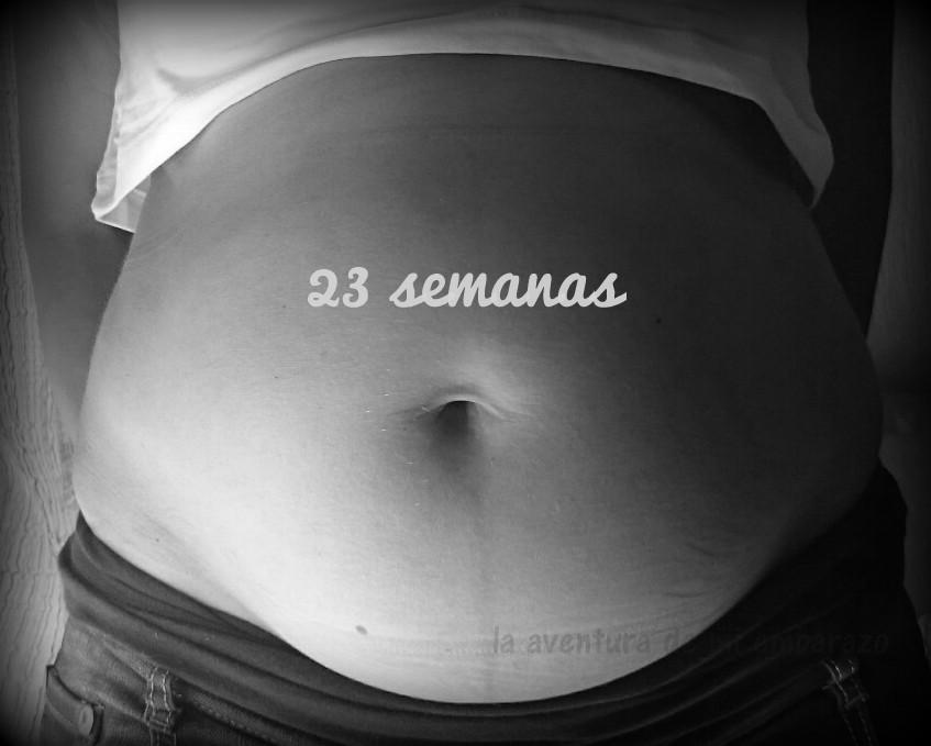 barriga de 4 meses de embarazo primeriza