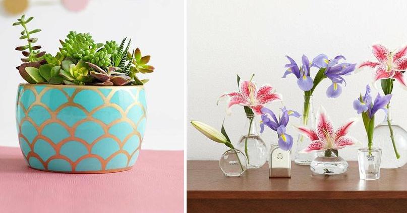 30 bonitas ideas DIY con plantas