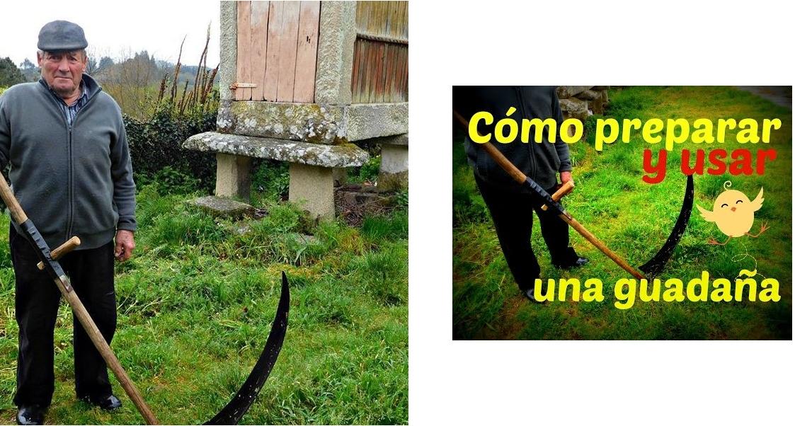 La guadaña, una herramienta en auje | Plantas