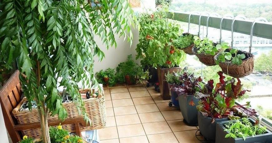 como hacer un huerto urbano | facilisimo.com