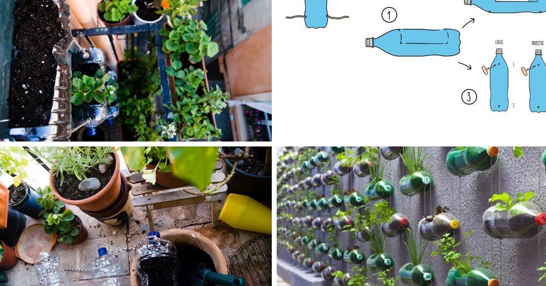 Cómo hacer un huerto vertical con botellas | Plantas