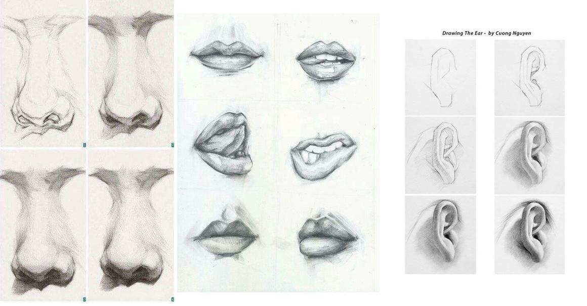 Guía Única: Cómo aprender a dibujar rostros humanos, paso a paso |  Manualidades