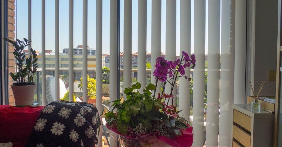 cortinas para bajo mesada | facilisimo.com