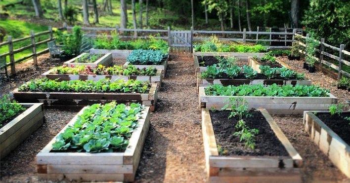 fotos de patios y jardines | facilisimo.com