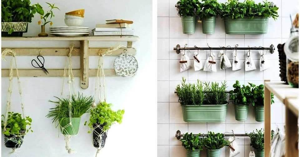 17 ideas prácticas para decorar la cocina con plantas y darle un estilo  único