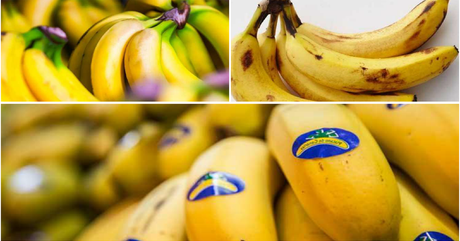 ¿Cuál Es La Diferencia Entre Plátano Y Banana? | Plantas