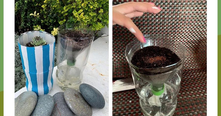 Macetas de autorriego con botellas de plástico: hazlas tu misma | Plantas