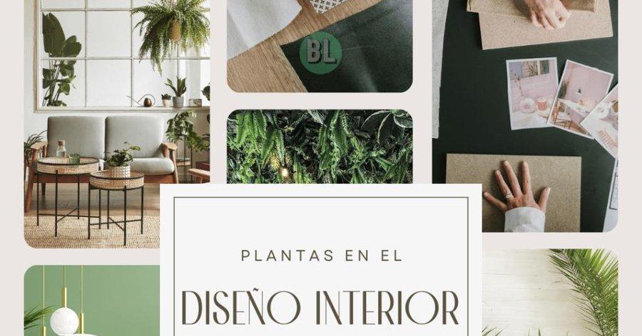 Plantas en el Diseño Interior de tu Hogar | Plantas