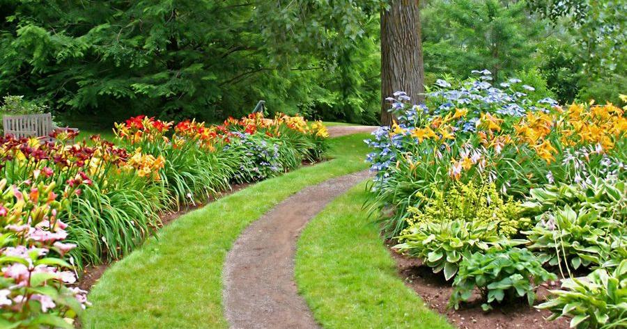 Jardín en primavera: ideas prácticas | Plantas