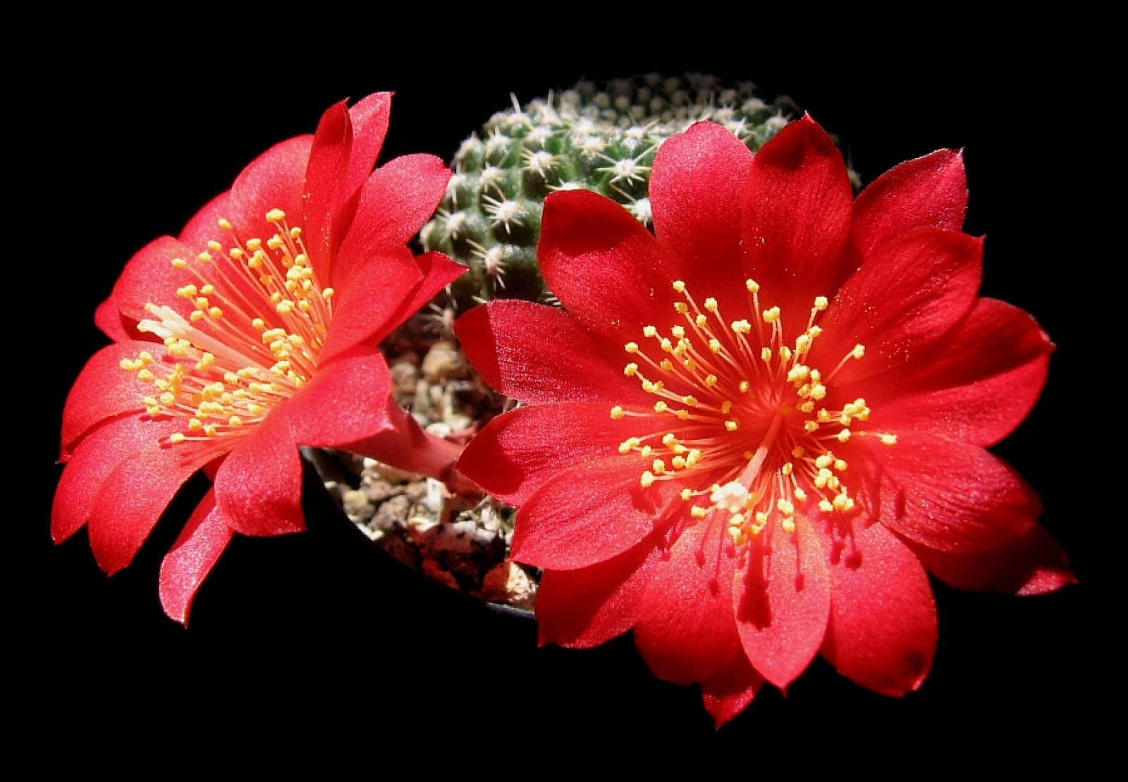 Imagen 8