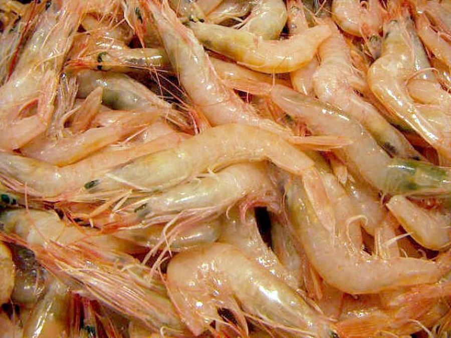 Gambas