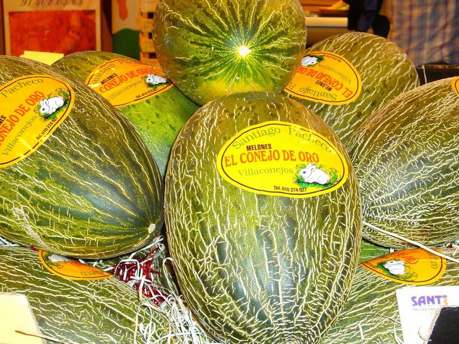 Melón de Villaconejos