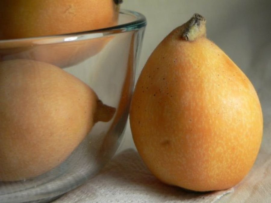 Nísperos - Yongxinge