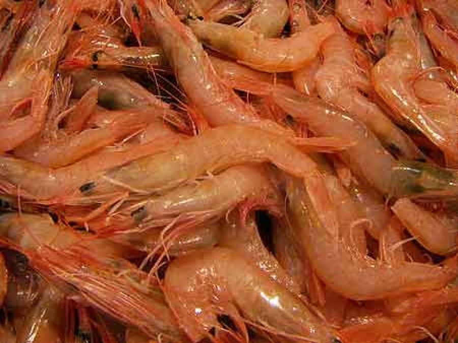 gambas
