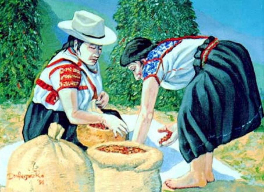 ilustración recogida café