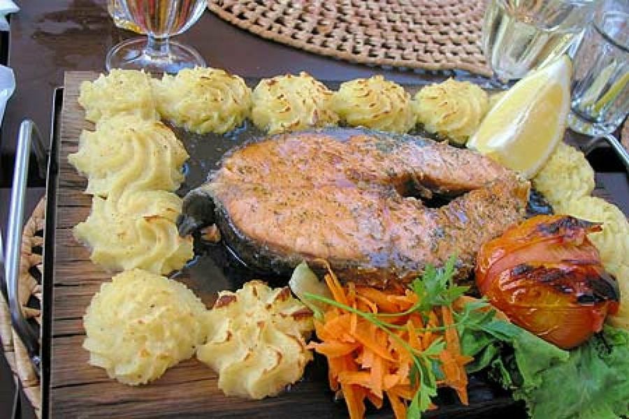 salmón