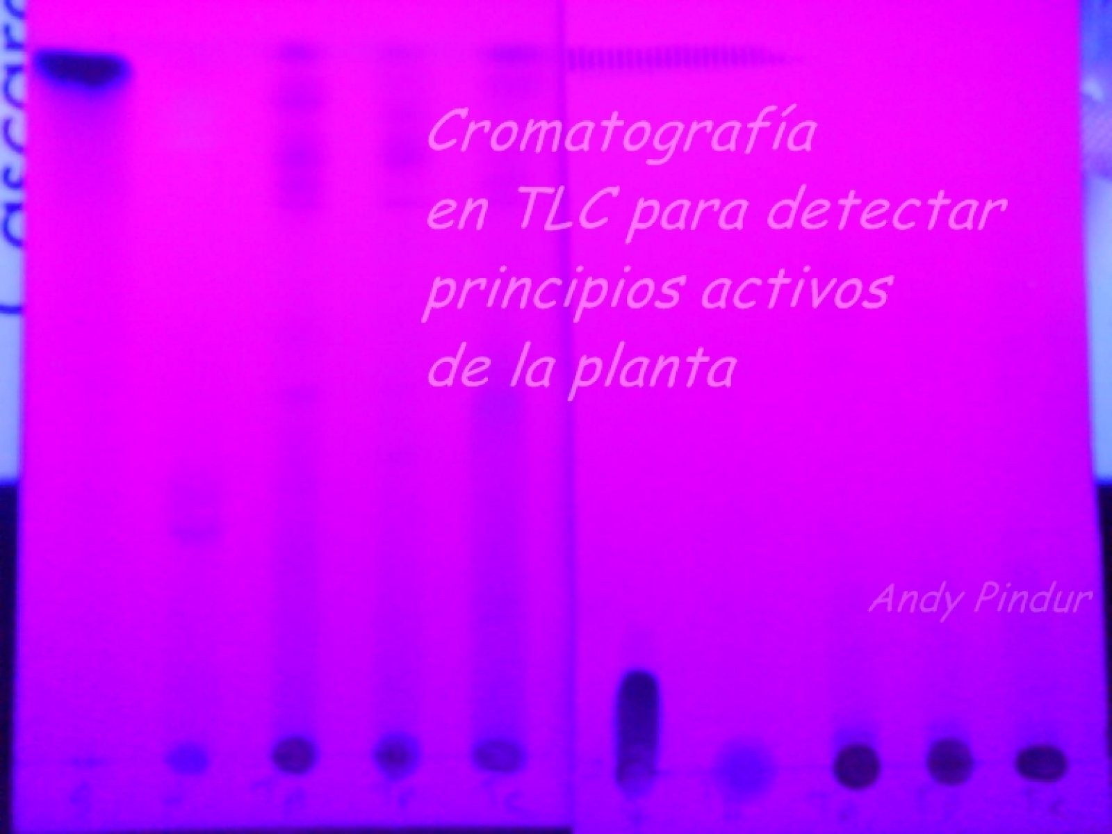 Imagen 4