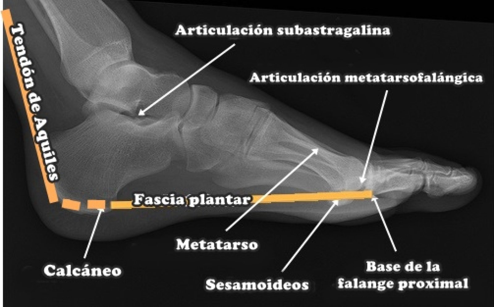 Imagen 0
