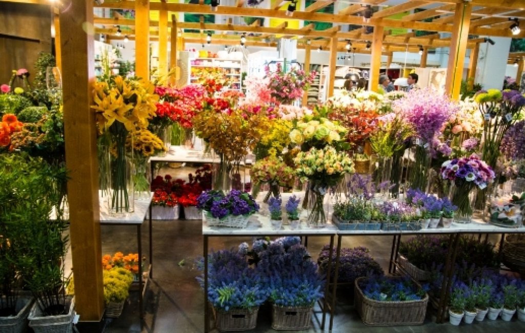 Fronda, tienda de plantas, flores, decoración y centro de jardinería