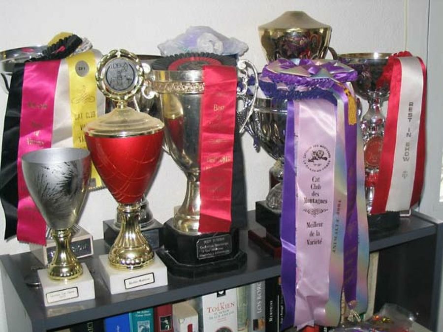 trofeos