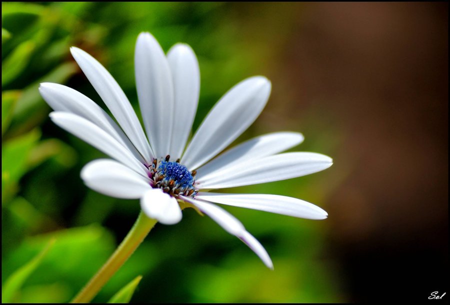 Mis fotos de los foros de dic/09