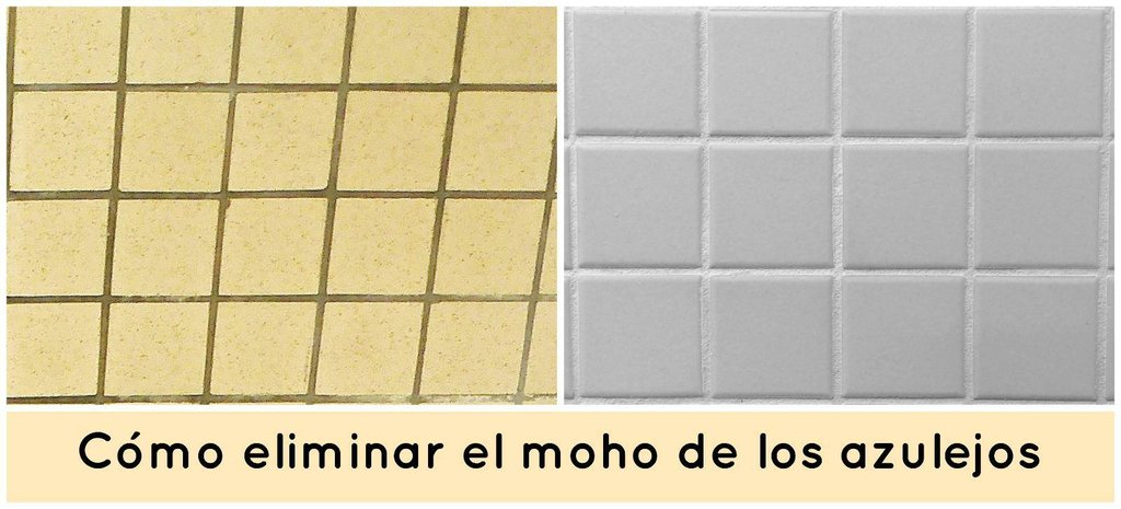 Spray Limpia Moho para paredes juntas azulejos baldosas bano - Hiperchino