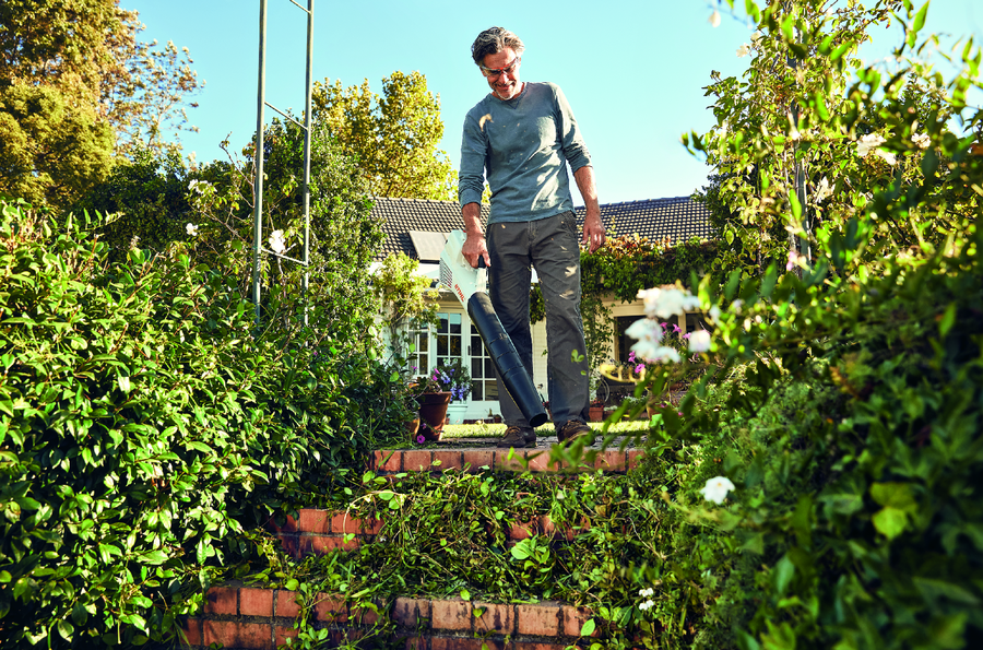 La batalla por conseguir el césped perfecto empieza en invierno | Plantas