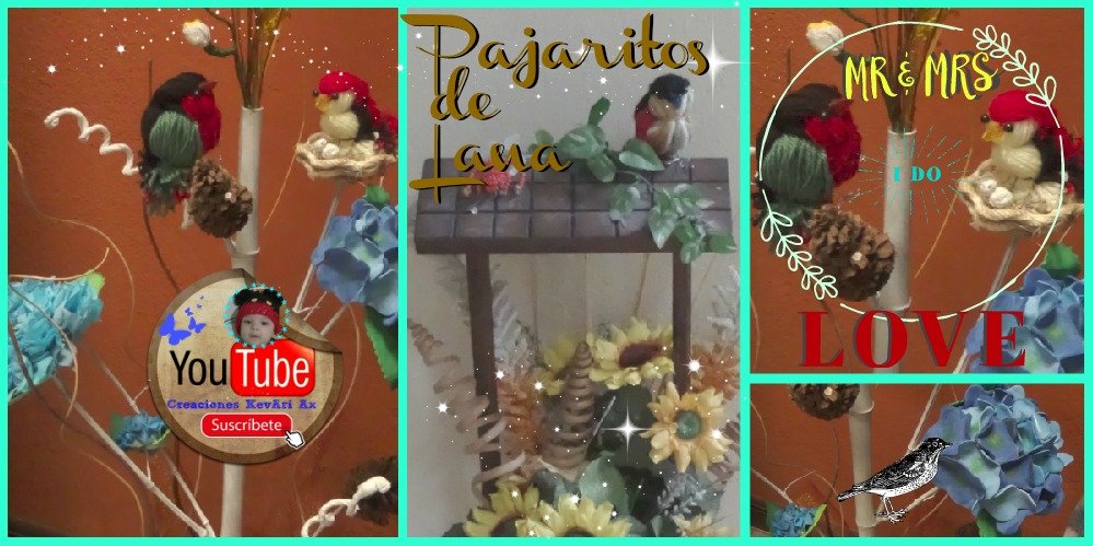Pájaros de Lana DIY
