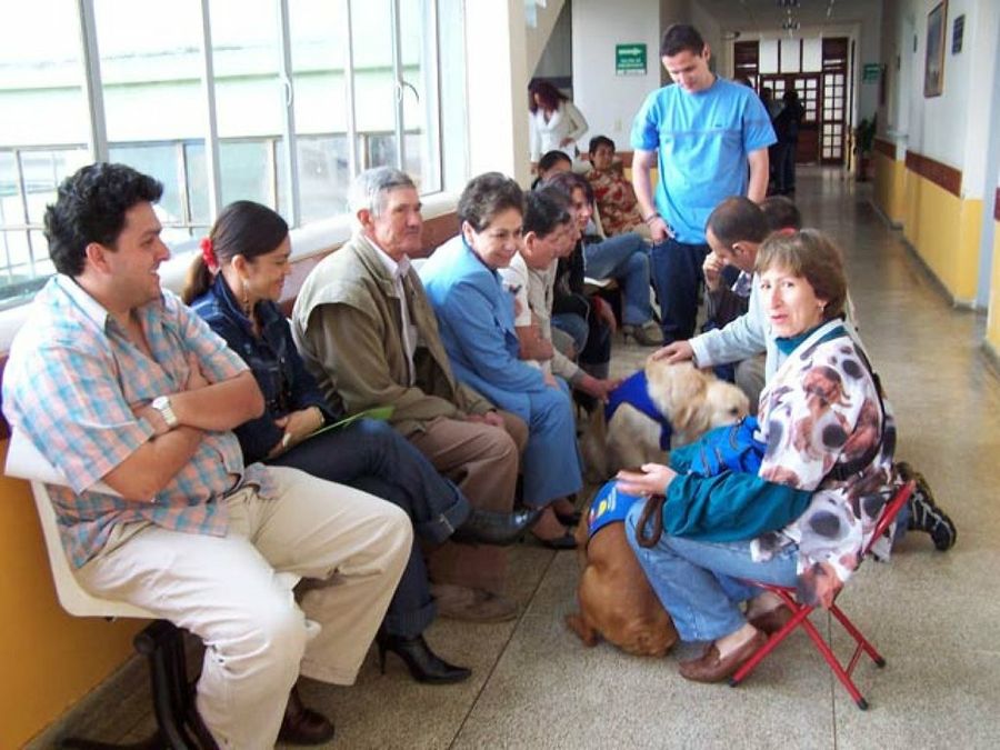 sala de espera con perro