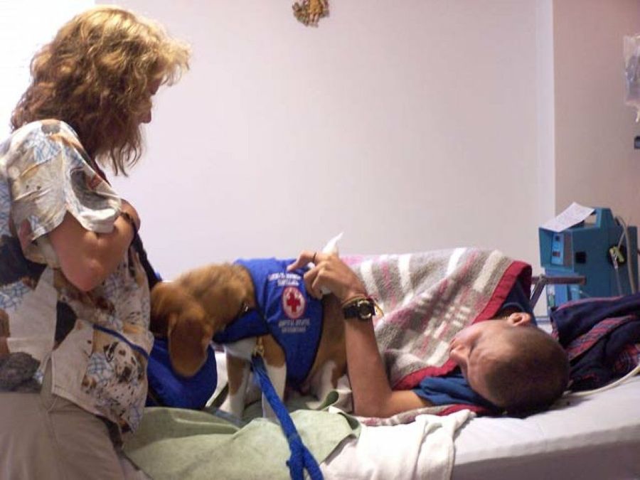 niño enfermo con perro