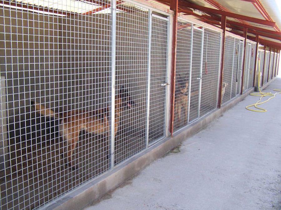 instalaciones de la residencia