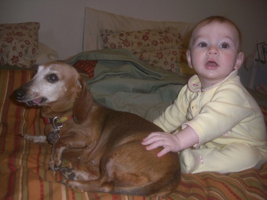 perro y bebé