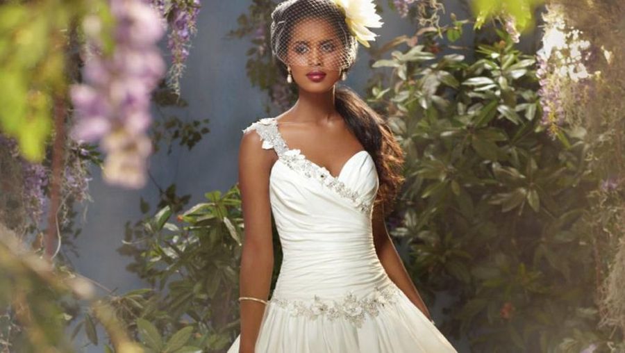 Imagen 7