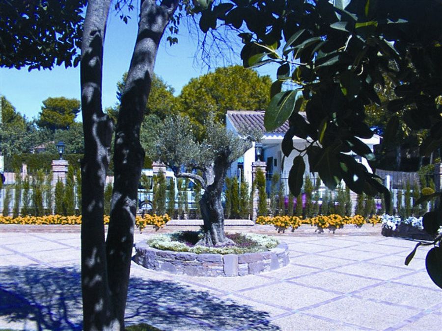 Imagen 7
