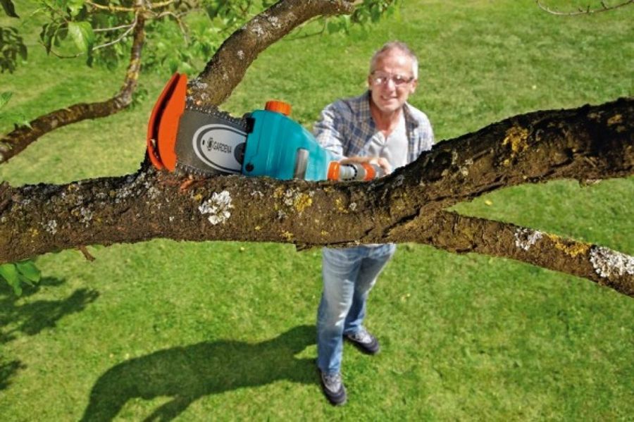 Jardín pequeño: ideas creativas para hacerlo | Plantas