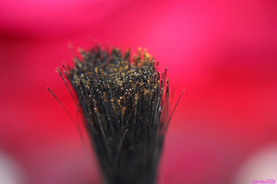  Jardineria a nivel usuario