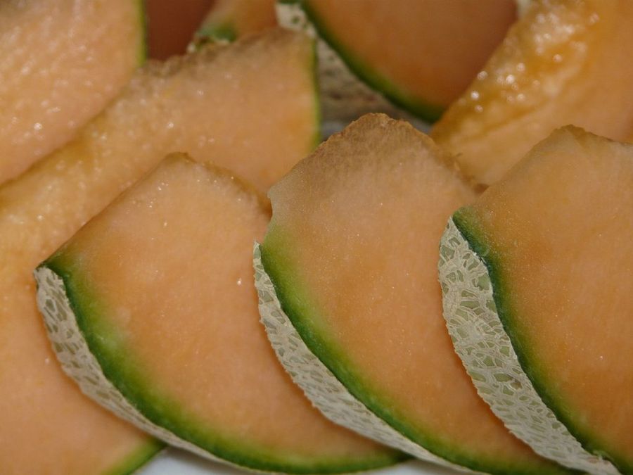 Melón