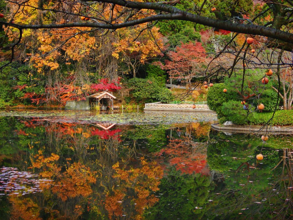 Ideas de jardín Zen jardín de piedra con el símbolo chino de la