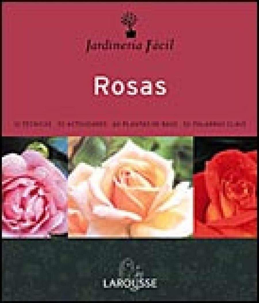 jardinería fácil: rosas