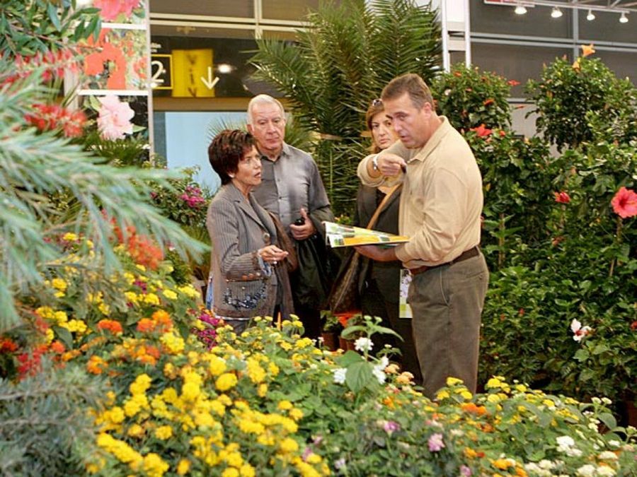 flores exposición